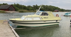 Bosjö 25